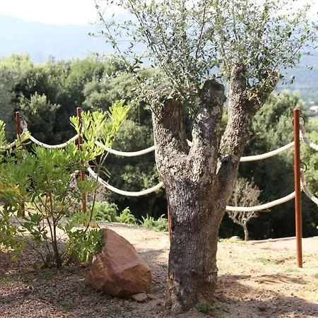 度假居 里赛塔公寓 *