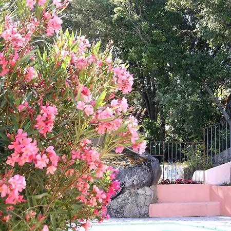 度假居 里赛塔公寓 *