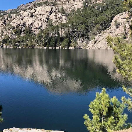 Hébergement de vacances Résidence A Licetta Porto-Vecchio (Corsica)