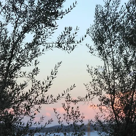 Résidence A Licetta * Porto-Vecchio