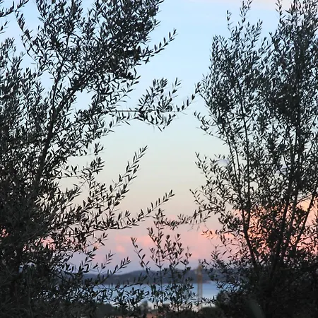 A Licetta * Porto-Vecchio (Corsica)