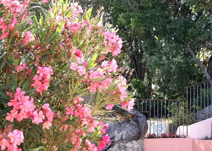 Holiday home A Licetta *