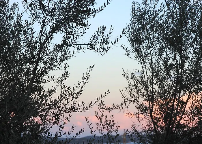 A Licetta * Porto-Vecchio (Corsica)